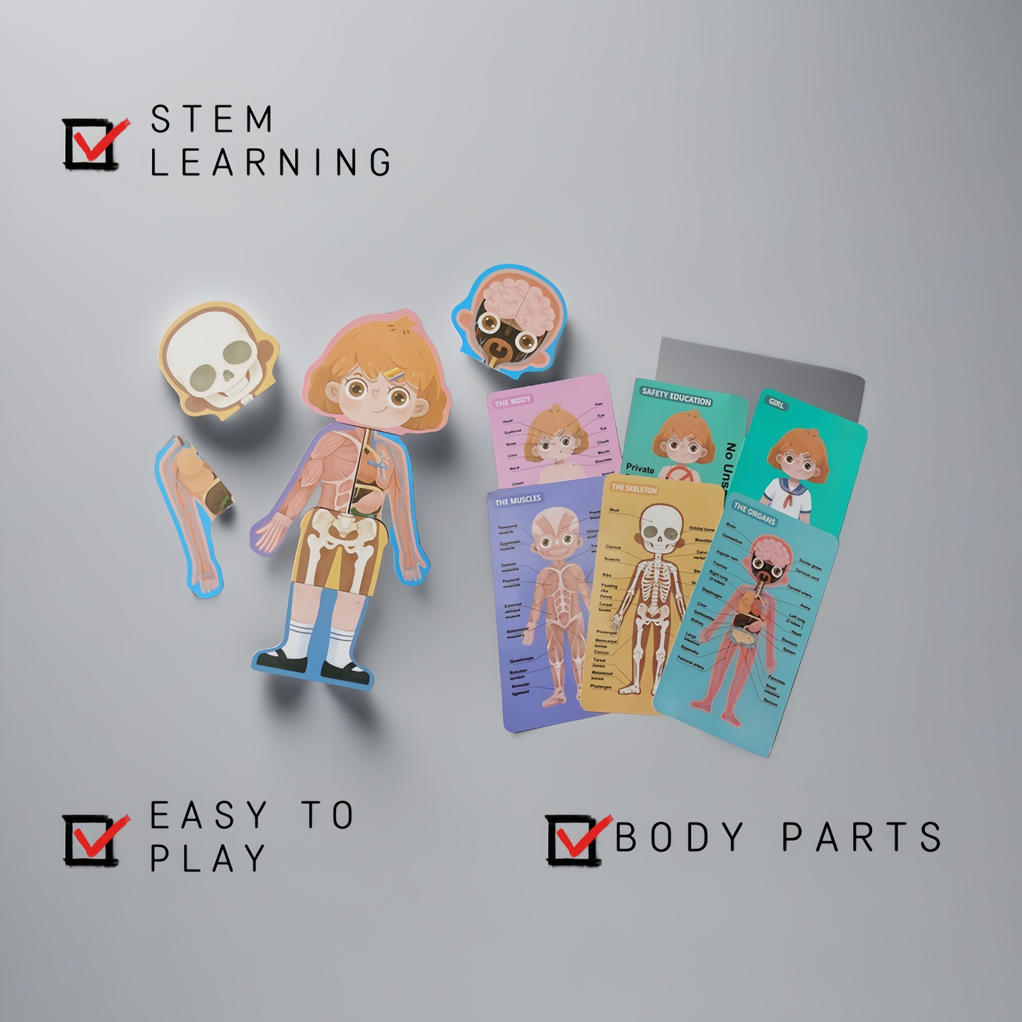 LYNETTE'S TOYS Human Body Anatomy Puzzle for Kids – Montessori-inspired STEAM Toy to Learn Organs, Bones & Body Parts (Ages 3–8)