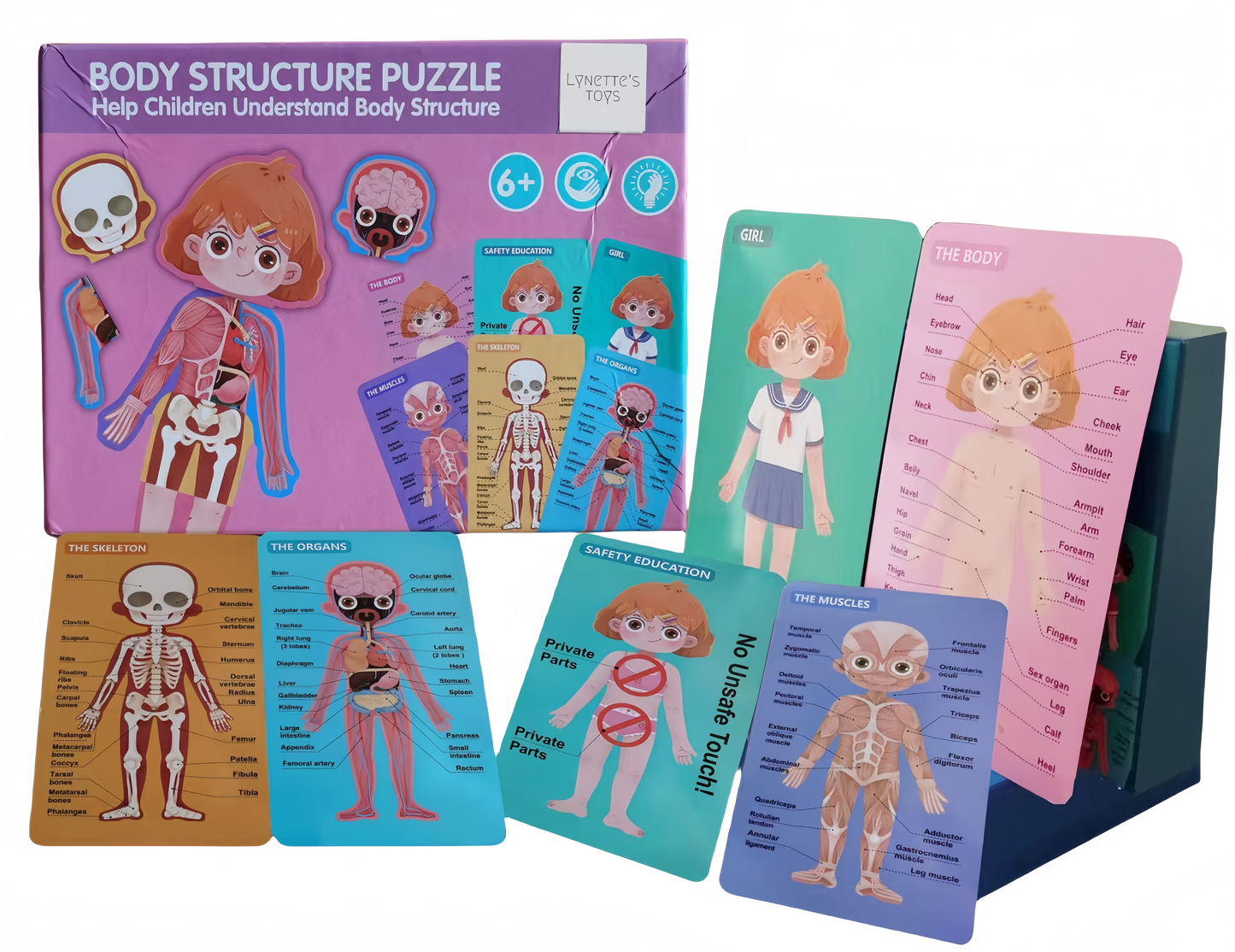 LYNETTE'S TOYS Human Body Anatomy Puzzle for Kids – Montessori-inspired STEAM Toy to Learn Organs, Bones & Body Parts (Ages 3–8)