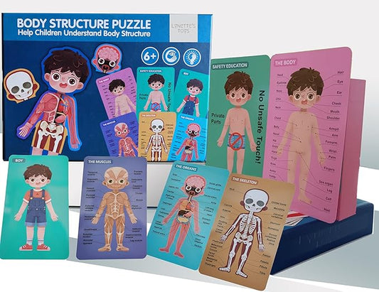 LYNETTE'S TOYS Human Body Anatomy Puzzle for Kids – Montessori-inspired STEAM Toy to Learn Organs, Bones & Body Parts (Ages 3–8)